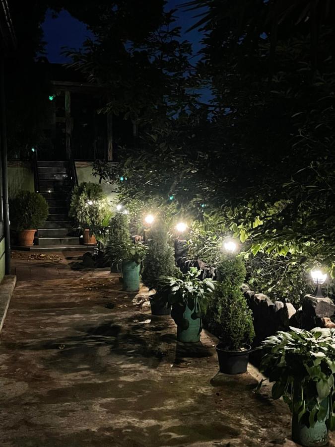 Apartment Green House Makhinjauri Ngoại thất bức ảnh